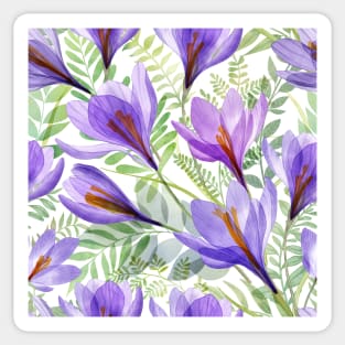 Crocus transparent flowers and green spring leaves composition. Watercolor translucent Saffron Crocus blossom Sticker